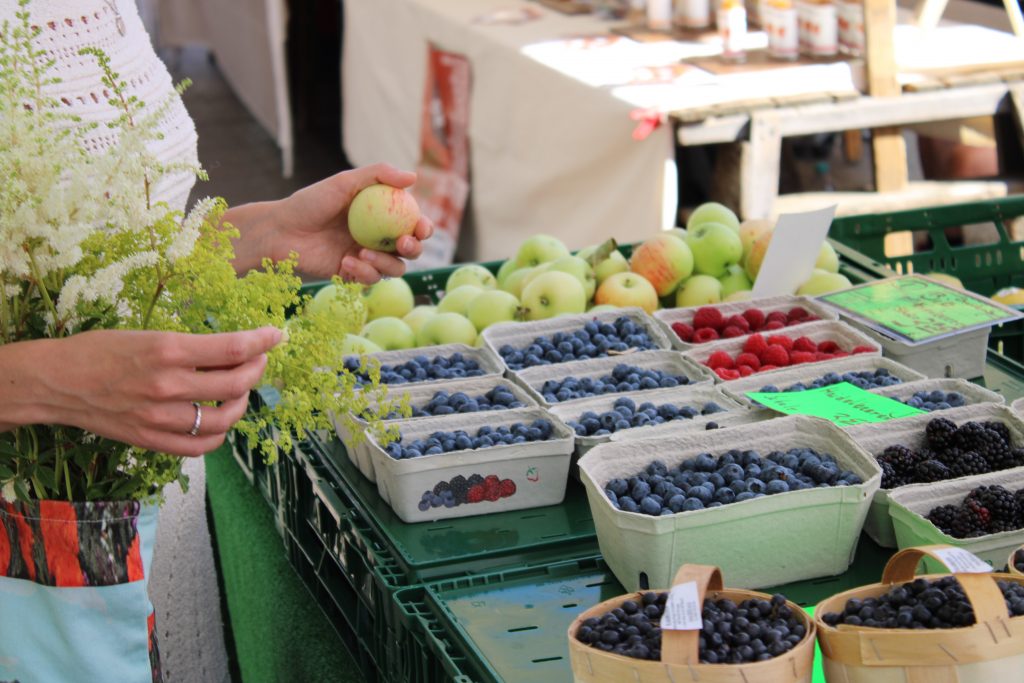 Yana Czarnecki Gesundheitscoaching Berlin Pflanzenzentrierte Ernährung Vegan Health by Heart